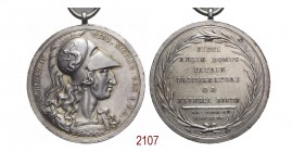 Medaglia per la spedizione delle truppe napoletane in Lombardia contro l’esercito della Repubblica Francese – Conferita agli ufficiali superiori dei r...