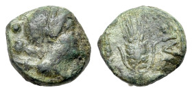 Italy, Lucania, Paestum, after 211 BC. Æ Uncia (11mm, 1.80g, 6h). Wreathed head of Demeter r.; pellet behind. R/ Grain ear; caduceus and pellet to l. ...