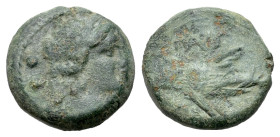Italy, Lucania, Paestum, 218-201 BC. Æ Sextans (15mm, 3.52g, 9h). Female head r. R/ Forepart of boar r. Crawford, Paestum 12/1; HNItaly 1218. Green pa...