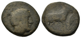 Sicily. Eryx, c. 400-340 BC. Æ Onkia (15mm, 3.5g). Female head (Aphrodite?) r. R/ Donkey standing r. HGC 2, 325; CNS I 16; Campana 48.
