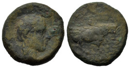 Sicily, Gela, c. 420-405 BC. Æ Tetras (16,6mm, 3.8g). Bull standing right; olive branch above, three pellets (mark of value) in exergue. R/ Horned hea...