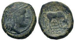 Macedon, Pella, c. 187-168/7 BC. Æ (18mm, 6.80g,). Helmeted head of Athena r. R/ Cow grazing right; tripod below. SNG ANS 598-617 var. (symbol). VF to...