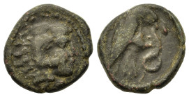 Kings of Macedon. Amyntas III (394/3-370/69 BC). Æ Tetrachalkon (16.5mm, 3,65g). Aigai or Pella mint. Head of Herakles r., wearing lion skin. R/ Eagle...
