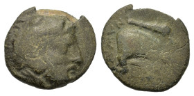Kings of Macedon. Amyntas III (394/3-370/69 BC). Æ Dichalkon (12,4mm, 1.3g). Aigai or Pella mint. Bearded head of Herakles r., wearing lion skin. R/ F...