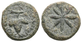 Cilicia (Cilicia Trachea) Province: Cilicia
Denomination: Æ , Issue: The Antonines
Obverse: ΘΚϹ; star with eight rays
Reverse: ΠΟΜΠΗΙΟΠΟΛΕΙΤΩΝ; bunch ...