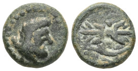 GREEK
PISIDIA. Kremna. Amyntas (King of Galatia, 39-25). Ae.


Weight:2,4 gr
Diameter:12,5 mm