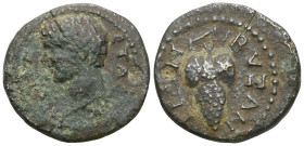 Roman Provincial Coins
THRACE. Byzantion. Geta (Caesar, 198-209). Ae.
Obv: Π CEΠT ΓETAC K.
Bare head left.
Rev: BVZANTIΩN.
Grape bunch.
Varbanov...