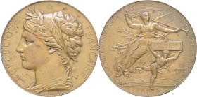 ALGÉRIE - ALGERIA
IIIe République (1870-1940). Médaille, récompense de l’Exposition Universelle Internationale de Paris, par J.-C. Chaplain 1878, Pari...