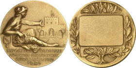 ALGÉRIE - ALGERIA
IIIe République (1870-1940). Médaille, Exposition coloniale, agricole et industrielle de Strasbourg, par C. Marey 1924, Paris ?
Rued...