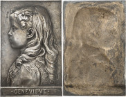 FRANCE - FRANCE
IIIe République (1870-1940). Plaque uniface, Geneviève, par C. Pillet 1902, Paris.
Maier 203 = cet exemplaire ; Bronze argenté - 135 g...