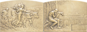 FRANCE - FRANCE
IIIe République (1870-1940). Plaque, Agriculture, par Charles Pillet ND (1906), Paris.
MdP M.72 ; Bronze - 88,27 g - 48 x 64 mm
Poinço...