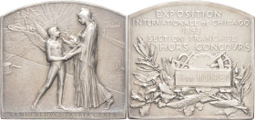 FRANCE - FRANCE
IIIe République (1870-1940). Médaille, Exposition internationale de Chicago, par O. Roty 1893, Paris.
Maz.cf. 59 ; Bronze argenté - 68...