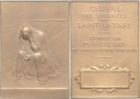 FRANCE - FRANCE
IIIe République (1870-1940). Plaquette, l’œuvre des libérées de Saint Lazare, par O. Roty ND (1900), Paris.
Maz.1905, 178 ; Bronze - 2...
