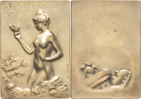 FRANCE - FRANCE
IIIe République (1870-1940). Plaque, Archéologie, par S.-E. Vernier ND (1902), Paris.
MDP M.52 ; Bronze - 110,07 g - 70 x 50 mm - 12 h...