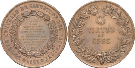 FRANCE - FRANCE
IIIe République (1870-1940). Médaille, Société centrale de sauvetage des naufragés ND (attribution en 1891), Paris.
Cuivre - 55,79 g -...