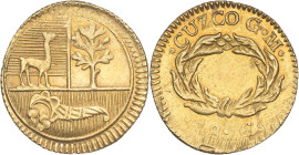 PÉROU - PERU
République du Pérou (depuis 1821). 1/2 escudo 1826, Cuzco.
KM.146.2 - Fr.60 ; Or - 1,70 g - 14 mm - 6 h
Ajustage et un léger défaut de mé...