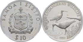 SAMOA - SAMOA
Malietoa Tanumafili II (1962-2007). 10 tala, faune en danger : courlis d’Alaska, Flan bruni (PROOF) 1992.
KM.98 ; Argent - [31,35] g - 3...