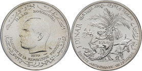 TUNISIE - TUNISIA
Habib Bourguiba (1957-1987). 1 dinar, F.A.O 1970, Paris.
KM.302 ; Argent - [18,00] g - 32 mm - 6 h
PCGS MS63 (30435401). 
Superbe.