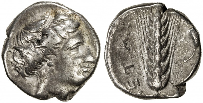 LUCANIA: Anonymous, ca. 340-330 BC, AR stater (7.52g), Metapontion, wreathed hea...
