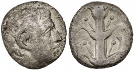 KYRENE: temp. Megas, 308-277 BC, AR didrachm (6.69g), S-6323, bare head of Karneios right // sylphium plant, Fine.

Estimate: USD 140-170