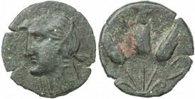 MAURETANIA: Anonymous, late 3rd/2nd century BC, AE 24mm (4.76g), Mazard-548/551, Iol-Caesarea: head of Isis left // three grain ears, very rare mint, ...