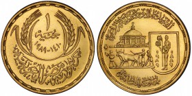 EGYPT: Arab Republic, AV pound, 1989/AH1410, KM-677, University of Cairo School of Agriculture 100th Anniversary, mintage of only 200 pieces, PCGS gra...