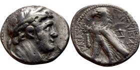 PHOENICIA: Tyre - Autonomy Issue (126 – 65 BC ) AR Didrachm Minted Year: 50 (76 BC) Obverse: Laureate bust of Melkart right Reverse: TYPOY IEPAΣ KAI A...
