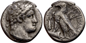 PHOENICIA: Tyre - Autonomy Issue (126 – 65 BC ) AR Didrachm Minted Year: 41 (86 BC) Obverse: Laureate bust of Melkart right Reverse: TYPOY IEPAΣ KAI A...