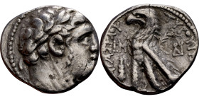 PHOENICIA: Tyre - Autonomy Issue (126 – 65 BC ) AR Didrachm Minted Year: 50 (76 BC) Obverse: Laureate bust of Melkart right Reverse: TYPOY IEPAΣ KAI A...