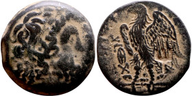 Ptolemaic Egypt: Alexandria - Ptolemy II Philometor (283-246 BC) AE obol Obverse: Laureate Head of Zeus right Reverse: ΠΤΟΛΕΜΑΙΟΥ ΒΑΣΙΛΕΩΣ / Eagle wit...