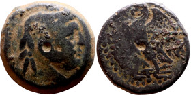 Ptolemaic Egypt: Alexandria - Ptolemy I Philometor (323-283 BC) AE obol Obverse: Diademed head of the deified Alexander right, wearing elephant skin R...