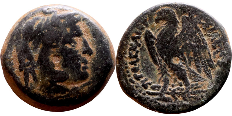 Ptolemaic Egypt: Alexandria - Ptolemy I Philometor (323-283 BC) AE obol Obverse:...