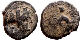 PHOENICIA: Berytus (1 th century BC) Bronze coin Obverse: Bust fo Tyche right , Reverse: BH-RY/TI-WN Dolphin entwined around trident between caps of t...