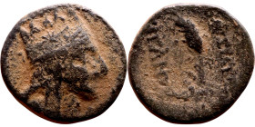 Tigranes the Great (King of Armenia: 95-55 BC) bronze coin. Obv: Bust of King right. Reverse: An ear of grain surrounded by a legend.

18mm 4.15g
...