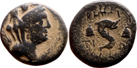 PHOENICIA: Berytus (1 th century BC) Bronze coin Obverse: Bust fo Tyche right , Reverse: BH-RY/TI-WN Dolphin entwined around trident between caps of t...
