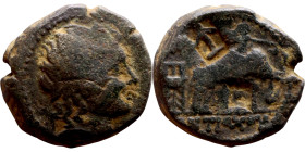 Antiochos III The Great (Seleukid King: 223-187 BC). AE bronze. Obverse: Diademed head of Antiochus III right Reverse: Elephant standing right, beside...