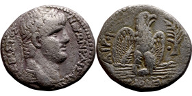 biddr - Nummitra, Auction 1 Premium
