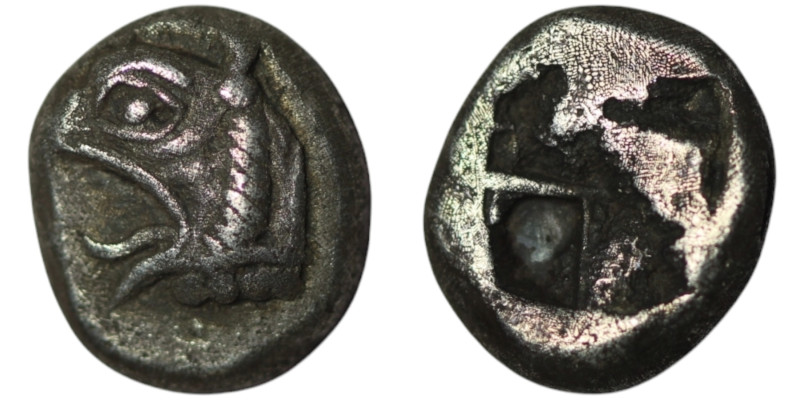 IONIA. Phokaia. (Circa 521-478 BC).
Hemidrachm or Triobol (10mm, 1,59g)
Obv: Hea...