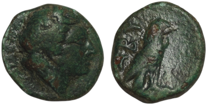 TROAS. Abydos. (Circa 320-200 BC).
AE Bronze (10mm, 1,37g)

Reslisted-unpaid/uns...