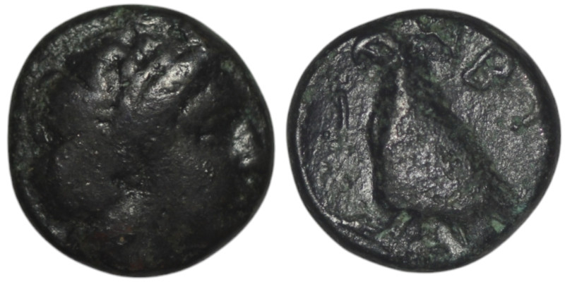 TROAS. Abydos. (Circa 320-200 BC).
AE Bronze (10mm, 1,35g)

Reslisted-unpaid/uns...
