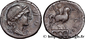 AEMILIA
Type : Denier 
Date : c. 114-113 AC. 
Mint name / Town : Rome 
Metal : silver 
Millesimal fineness : 950  ‰
Diameter : 18  mm
Orientation dies...