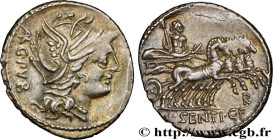 SENTIA
Type : Denier 
Date : 101 AC. 
Mint name / Town : Rome 
Metal : silver 
Millesimal fineness : 950  ‰
Diameter : 21  mm
Orientation dies : 9  h....