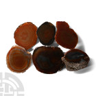 Cut and Polished Large Agate Geode End Group [6]