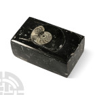 Polished Fossil Goniatite Lidded Box