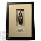 Framed Polished Fossil Orthoceras Specimen