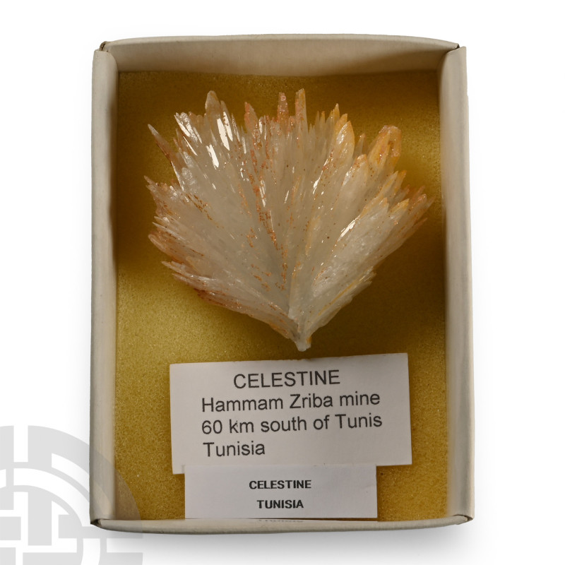 Celestine Sulphate Mineral Display Specimen

A radiating cluster of white tabu...