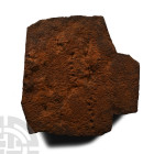 Mesoproterozoic 'String of Beads' Fossil