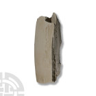 British Woolly Mammoth Fossil Tusk Section