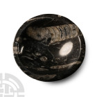 Polished Fossil Orthoceras Bowl