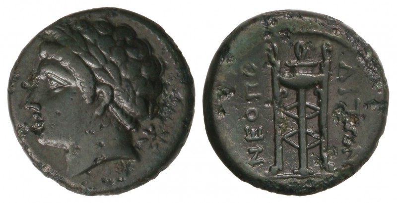 AE 15. 300-260 a.C. NEAPOLIS. CAMPANIA. Anv.: Cabeza laureada a izquierda, detrá...